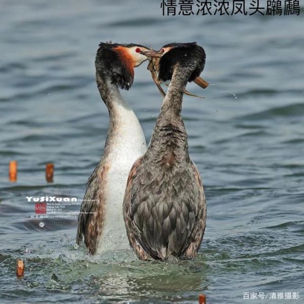 摄影人说摄影-1.jpg