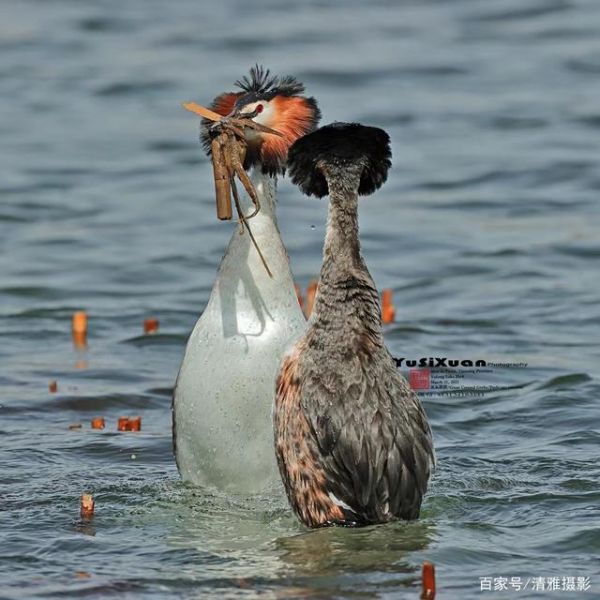 摄影人说摄影-7.jpg