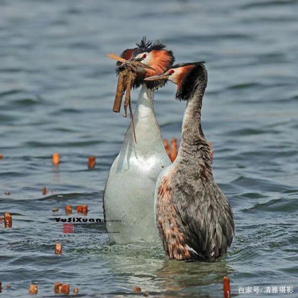 摄影人说摄影-8.jpg
